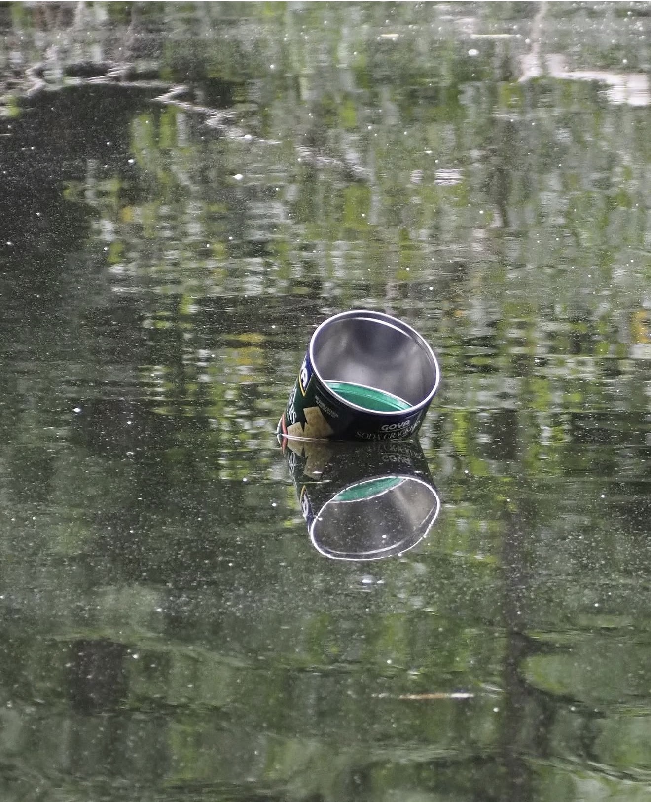 Reflection, Detail