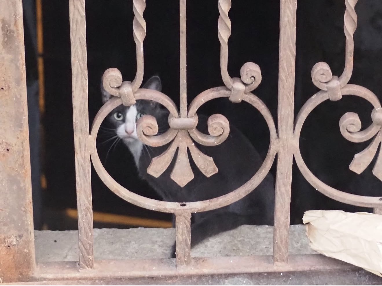 Behind the Scrollwork