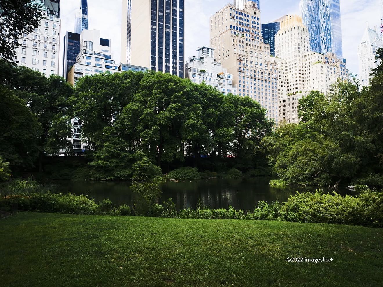The Pond, Looking East